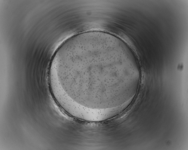 X0000115370806200911241239