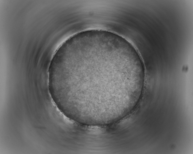 X0000115370807200911241239
