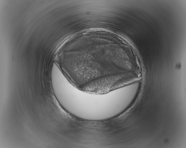 X0000115370809200911241239