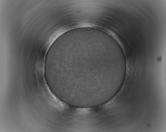 X0000115370810200911241239