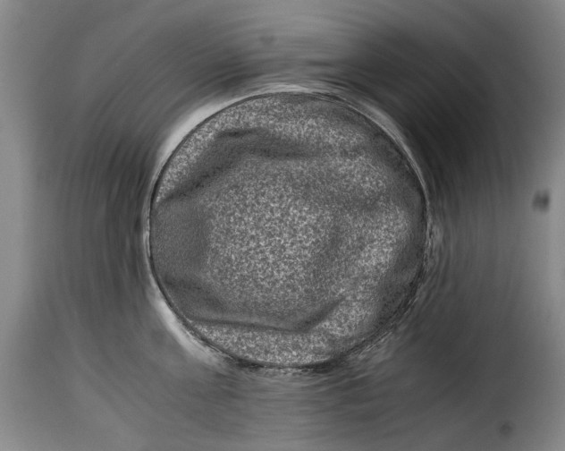 X0000115370811200911241239