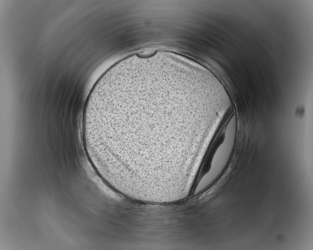 X0000115370812200911241239