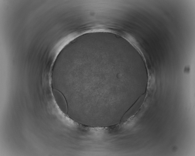 X0000115370813200911241239