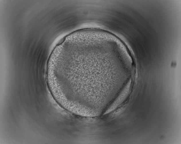 X0000115370815200911241239