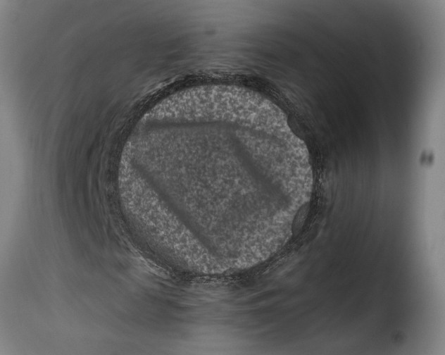 X0000115370817200911241238