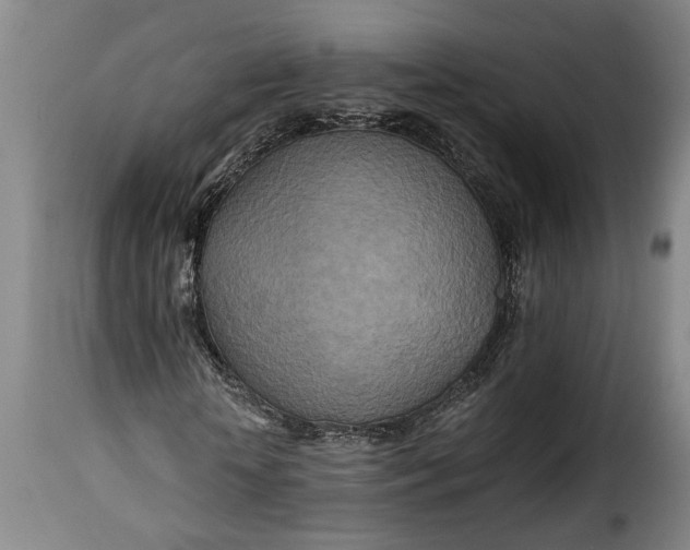 X0000115370818200911241238