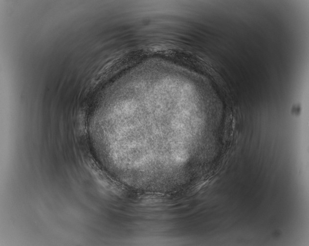 X0000115370819200911241238