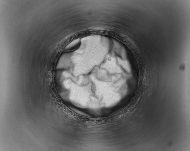 X0000115370821200911241238