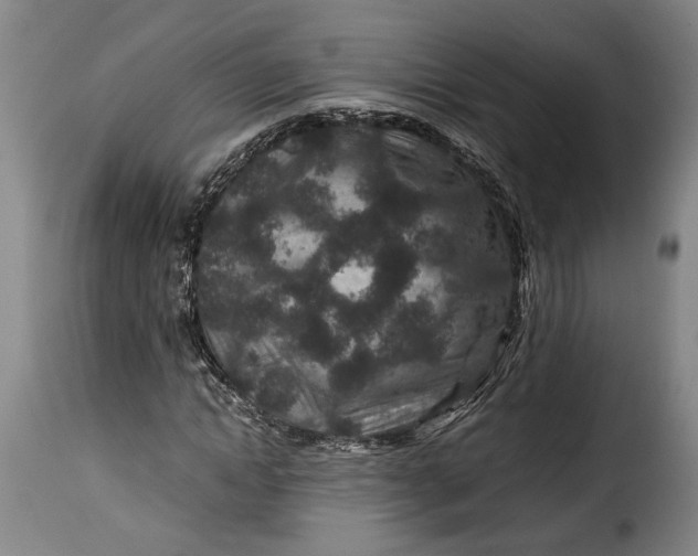 X0000115370822200911241238