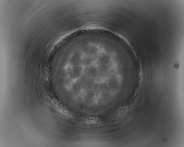 X0000115370823200911241238