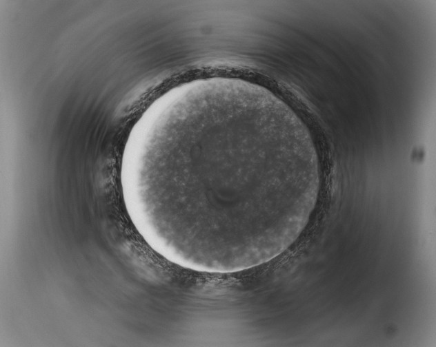 X0000115370824200911241238