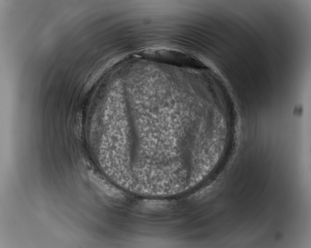 X0000115370825200911241238