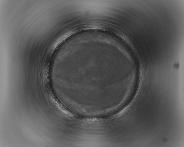 X0000115370826200911241238