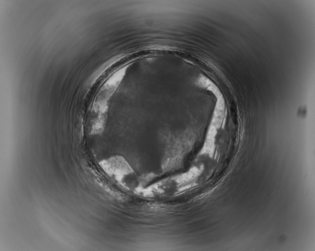 X0000115370829200911241238