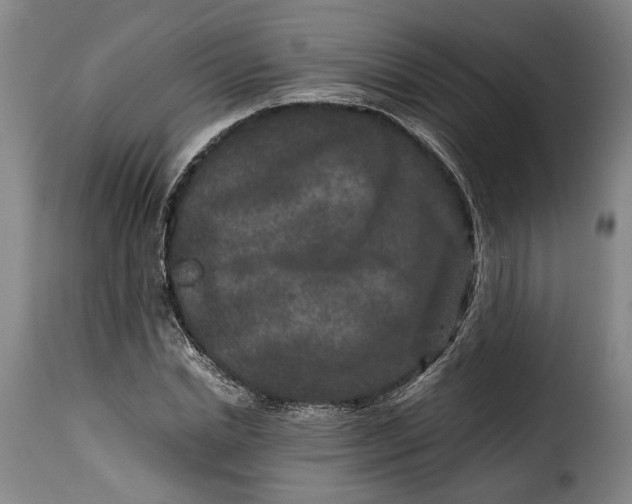X0000115370830200911241238