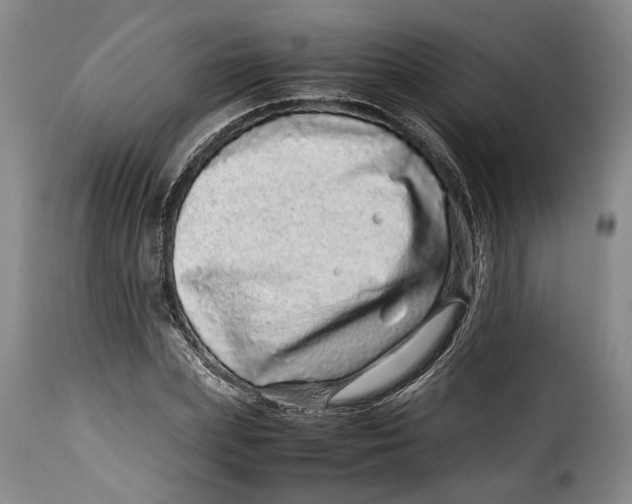 X0000115370831200911241238