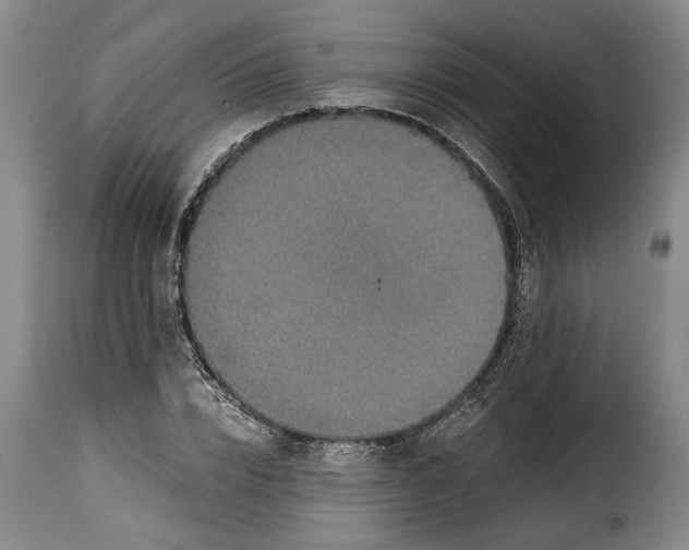 X0000115370832200911241238