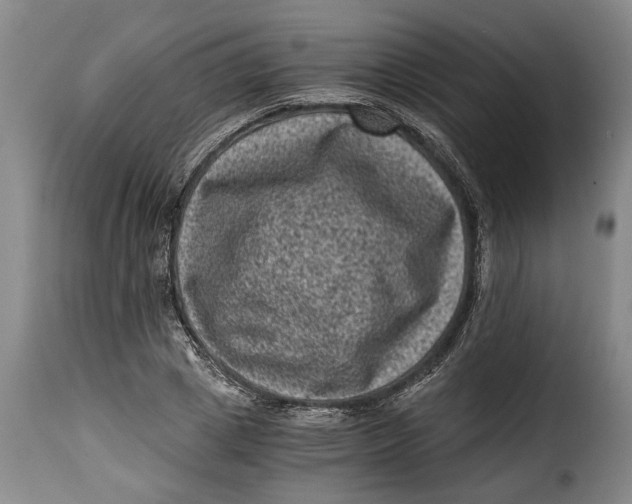 X0000115370833200911241238
