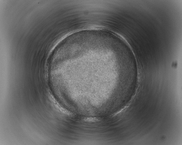 X0000115370835200911241238