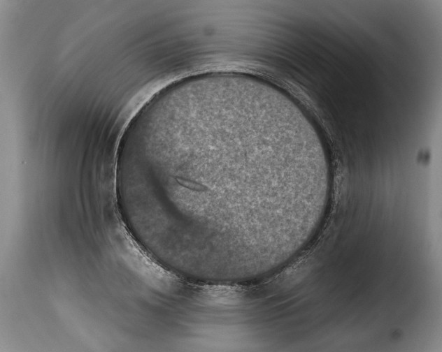 X0000115370836200911241238