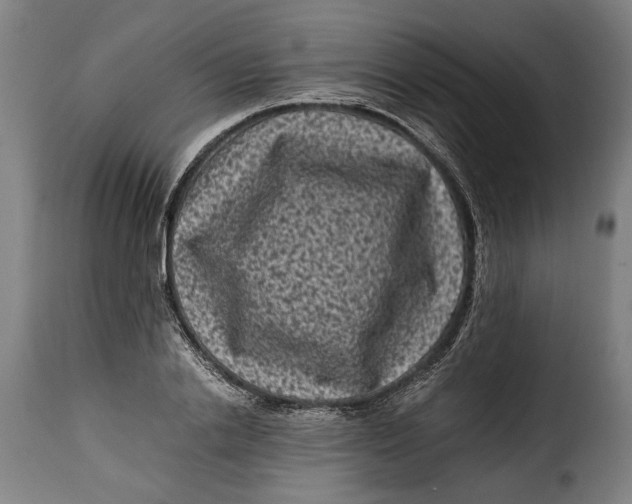 X0000115370838200911241238