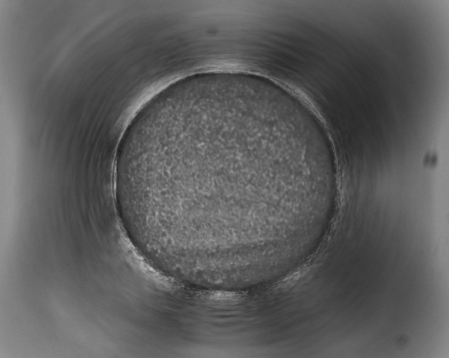 X0000115370839200911241238