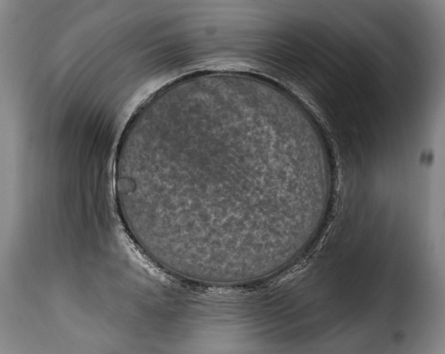 X0000115370840200911241238