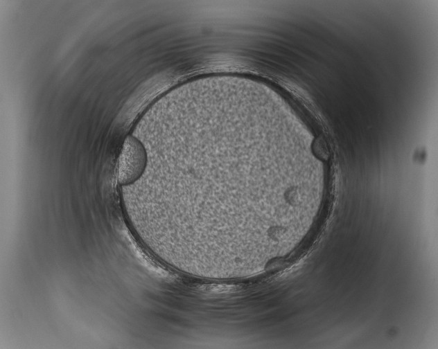 X0000115370841200911241238