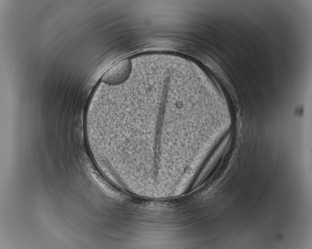 X0000115370842200911241238