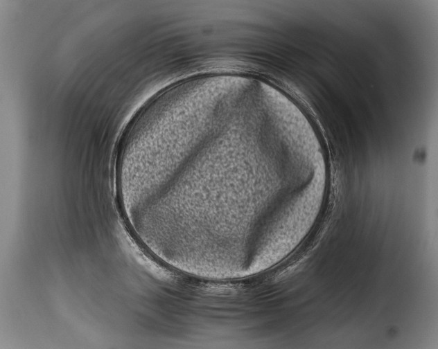 X0000115370843200911241238