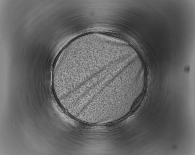 X0000115370844200911241238