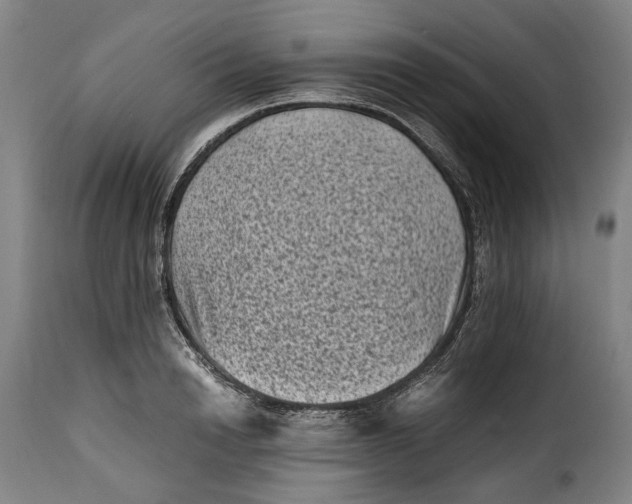 X0000115370846200911241238