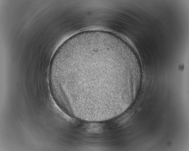 X0000115370847200911241238