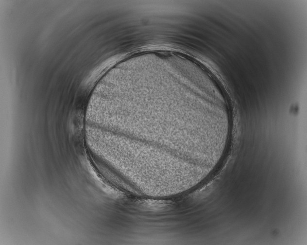 X0000115370849200911241238