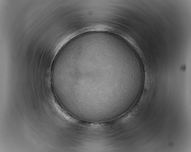 X0000115370850200911241238