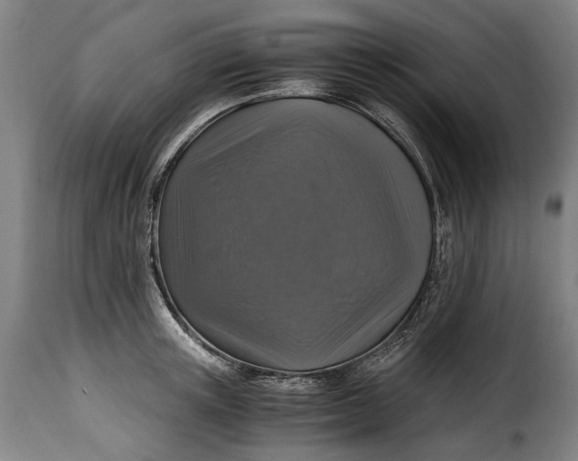 X0000115370851200911241238