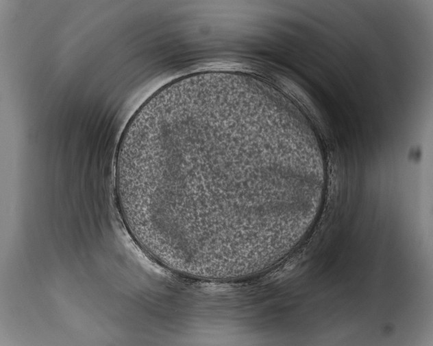 X0000115370852200911241238