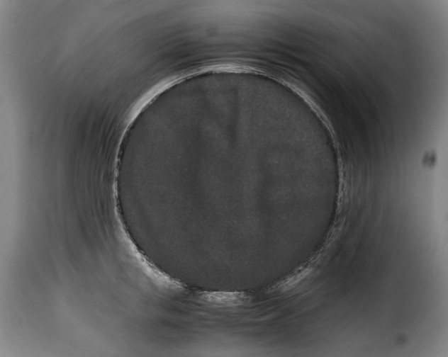 X0000115370853200911241238