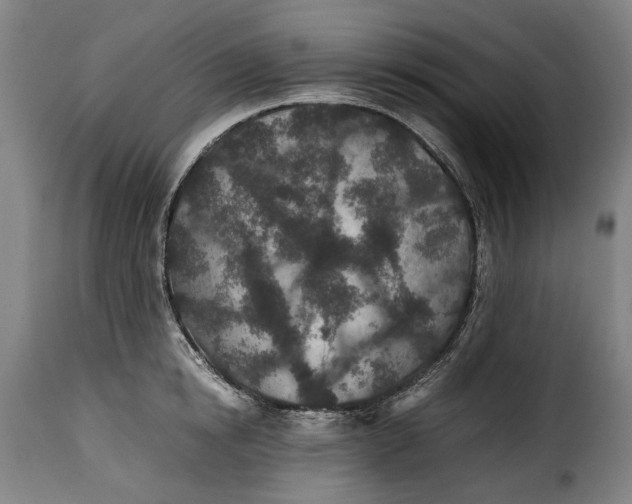 X0000115370854200911241238