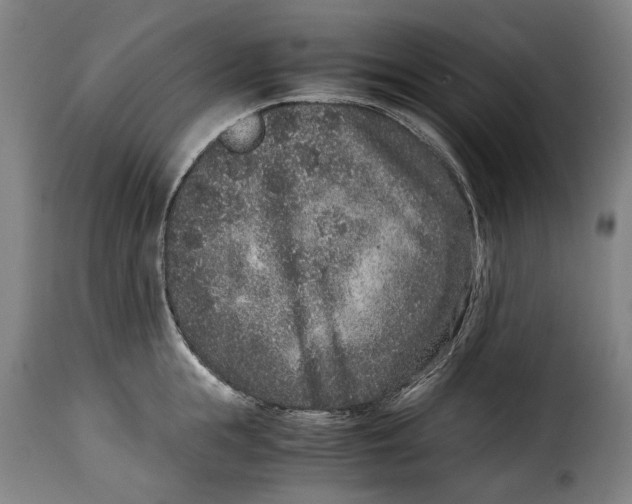 X0000115370855200911241238