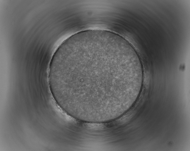 X0000115370856200911241238