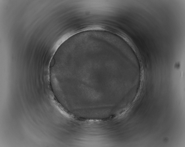 X0000115370858200911241238