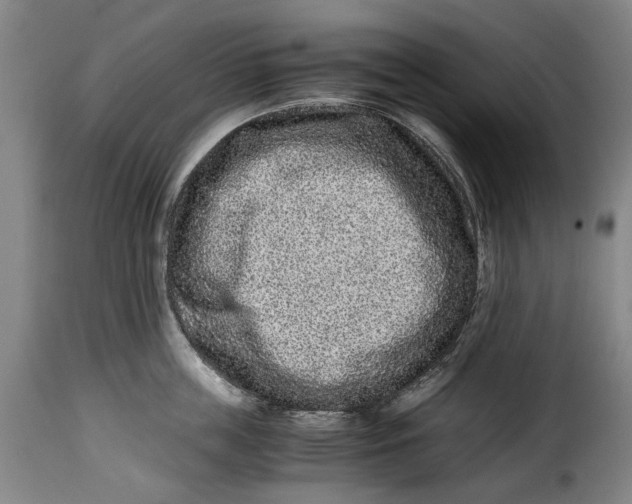 X0000115370859200911241238