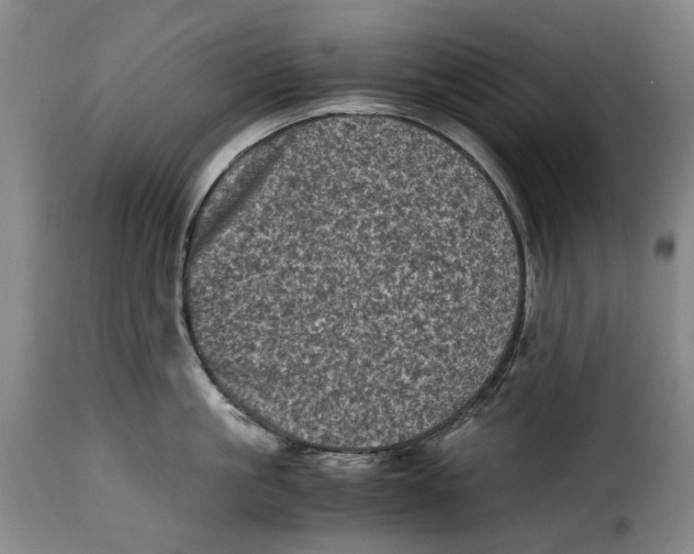 X0000115370861200911241238