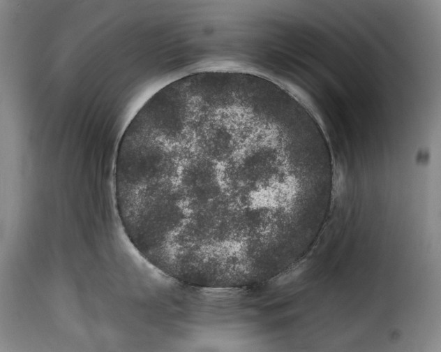 X0000115370863200911241238