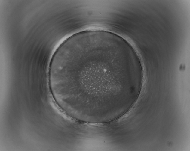 X0000115370864200911241238