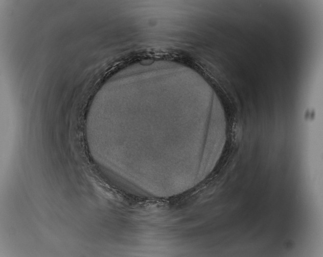 X0000115370865200911241238