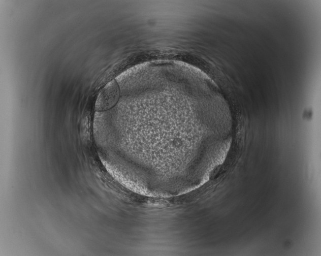 X0000115370866200911241238