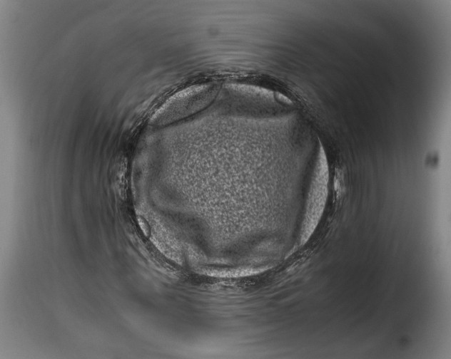 X0000115370867200911241238