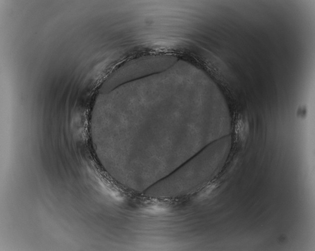 X0000115370868200911241238